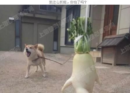 ϺҽԺʽ㶨λп˫ƤЧƯ