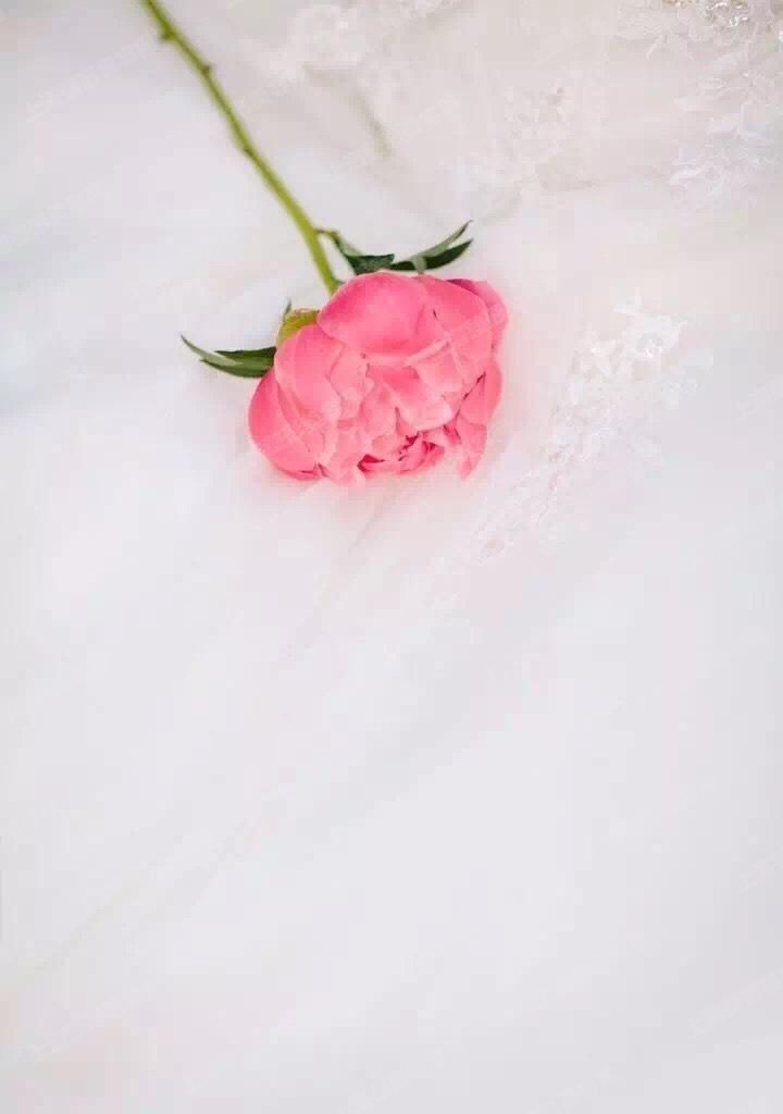 ϺʥҽҽԺɫƼ˼
