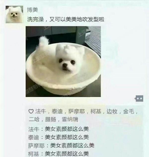 ϺҽԺƭ