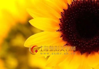 额头