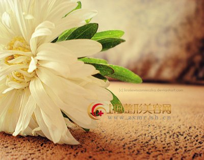 韩式改脸型手术的外界评价是如何的