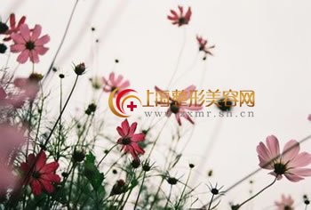 ע룬ʵô