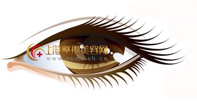 专家详解上睑下垂术