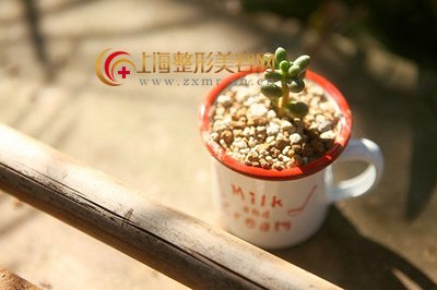 丰太阳穴从此告别尖酸苛刻