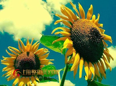 激光祛痘轻松再现光泽面容