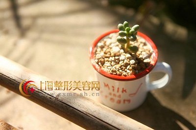 五大方面解读面部磨骨术