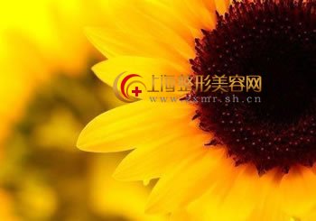 睫毛移植术的优势