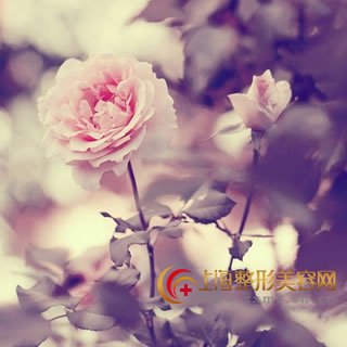 塪ȻĨȥºۼ