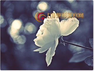 伊维兰,非手术除皱美容的典型代表