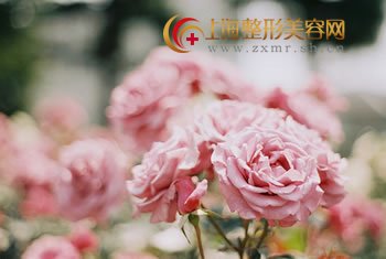 丰太阳穴手术用伊维兰效果如何