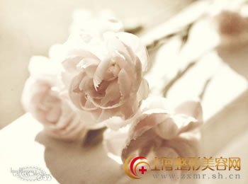 伊维兰填充除皱,重获的青春