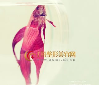 粨ƤЧ? 