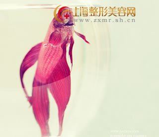 ͷƤǮ