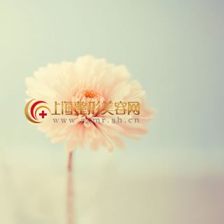 专业面部除皱整型论述