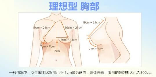 上海九院专家讲什么是理想的胸部